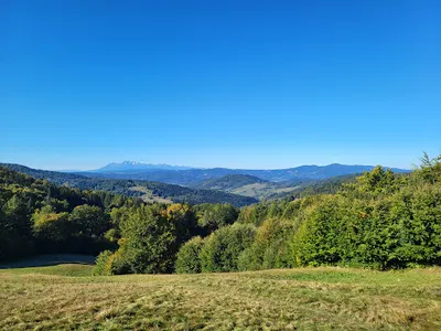 KN Kancelaria Nieruchomości Rzeczoznawca Majątkowy Karolina Świerad